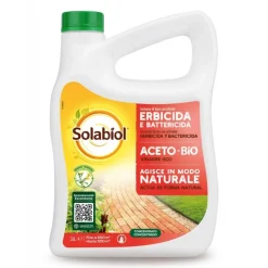 Aceto Concentrato 3 l SBM