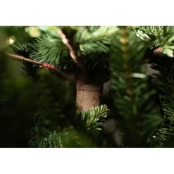 Albero di Natale Illuminato Anthony 2550LED h240Ø168cm PE+PVC