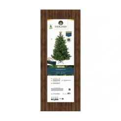 Albero di Natale Nordmann h180Ø130cm PE+PVC