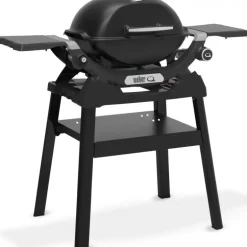 Barbecue Weber a Gas Q 1200N Con Stand Black Cod. 1501087