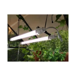 Canopia Brighton Lampada LED per la Crescita delle Piante