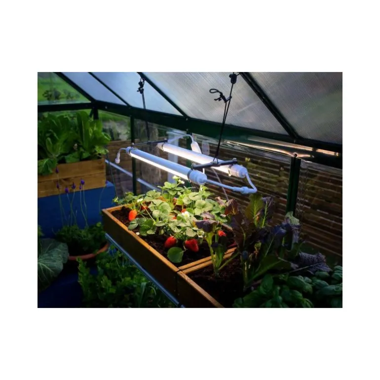 Canopia Brighton Lampada LED per la Crescita delle Piante