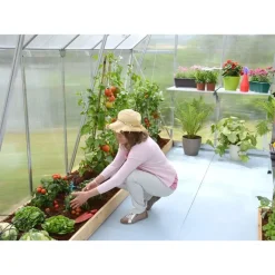 Canopia Essence Doppio Strato Serra Da Giardino in Policarbonato 367X244X229 cm Argento