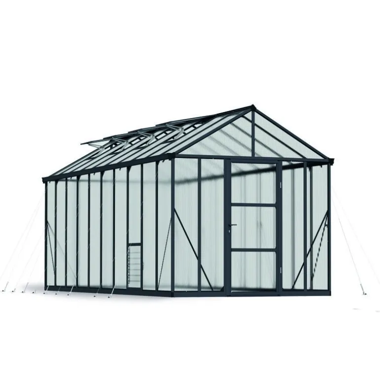 Canopia Glory Serra Da Giardino in Policarbonato di Premium 604X253X268 cm