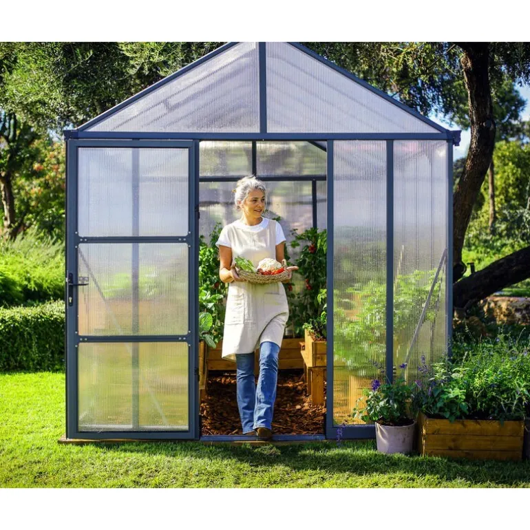 Canopia Glory Serra Da Giardino in Policarbonato di Premium 604X253X268 cm