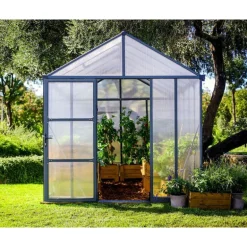 Canopia Glory Serra Da Giardino in Policarbonato di Premium 364X253X268 cm