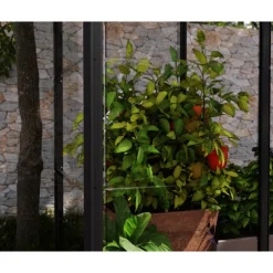 Canopia Ivy Mini Serra Da Giardino in Policarbonato 124X64X150 cm