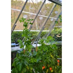 Canopia Kit Traliccio Per Serra