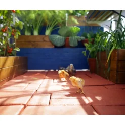 Canopia Mythos Doppio Strato Serra Da Giardino in Policarbonato 247X185X208 cm Argento