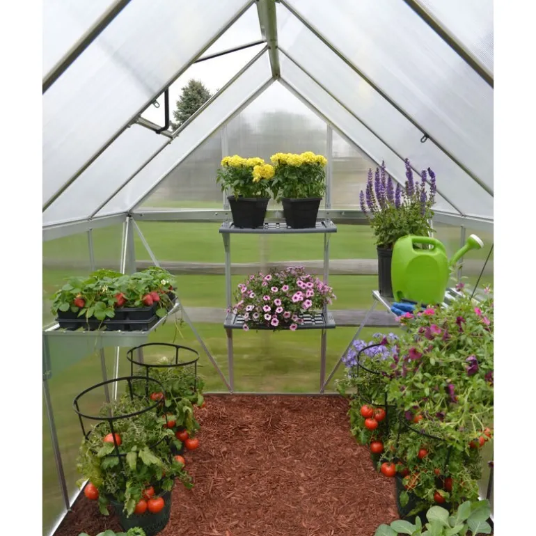 Canopia Mythos Doppio Strato Serra Da Giardino in Policarbonato 247X185X208 cm Argento