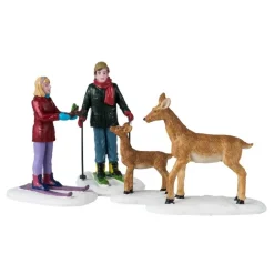 Friendly Wildlife Set Of 4 Cod. 42312