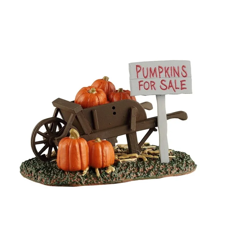 Pumpkins For Sale Cod. 54444
