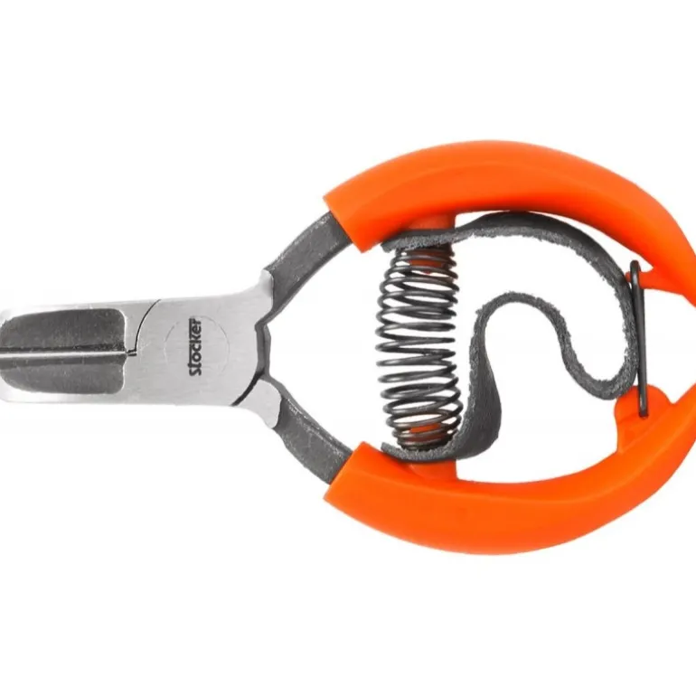 Stocker Forbice agrumi con cinghia 10 cm