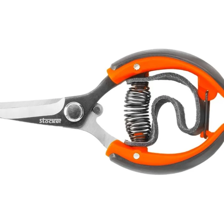 Stocker Forbice agrumi con cinghia 10 cm