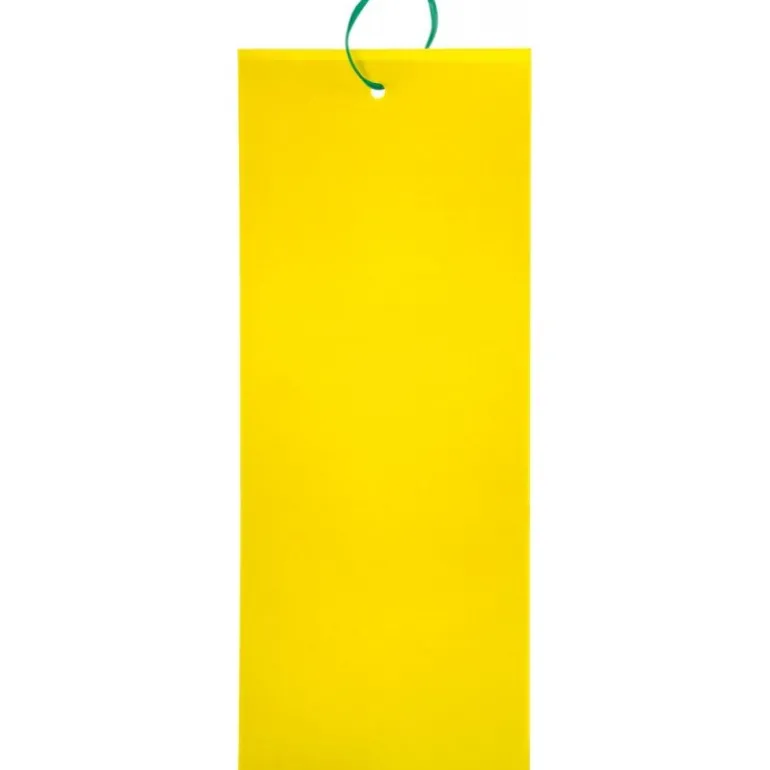 Stocker Insect Trappola adesiva L 24 x 10 cm