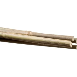 Stocker Reggipiante in bambù 16 18 mm 210 cm