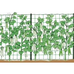 Stocker Rete rampicante 2 x 5 m