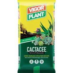 Terriccio Cactacee 20 litri Vigorplant