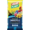 Terriccio Cinquestelle 10 litri Vigorplant