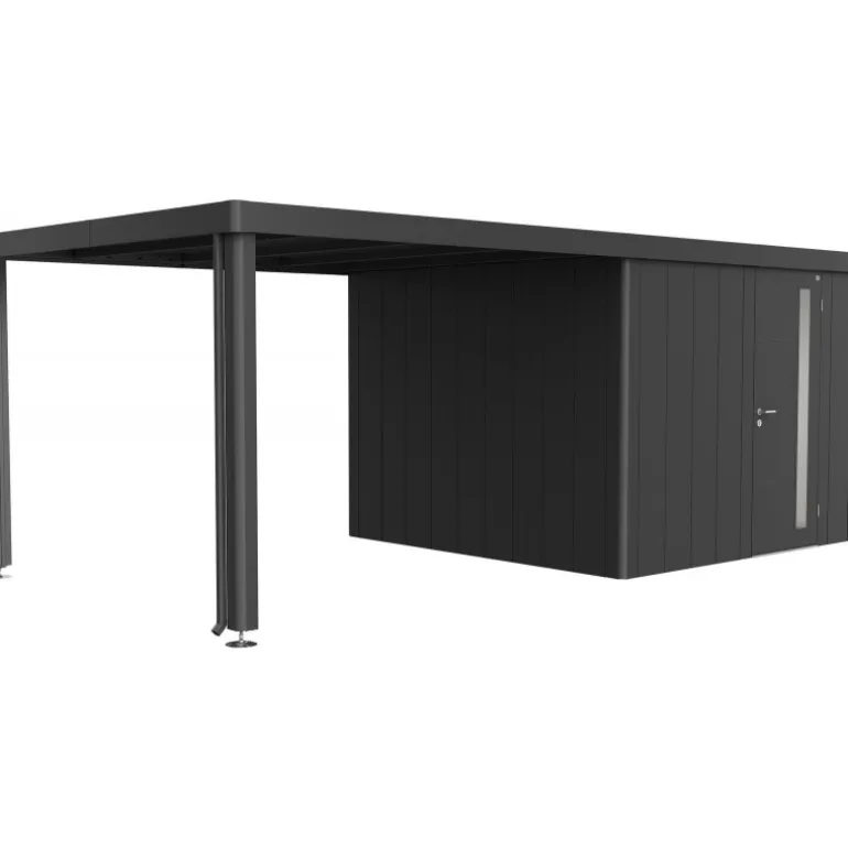 Tettoia Laterale per Casetta in Metallo NEO Biohort