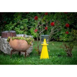 Trappola per Cimice Asiatica CYMATRAP GARDEN InVerde