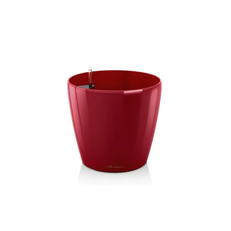 Vaso Classico Premium 50 Lechuza Set Completo