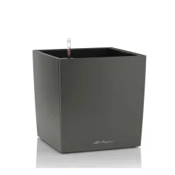 Vaso Cube 50 Lechuza Set Completo