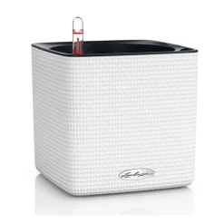 Vaso Cube Color 16 Lechuza Set Completo