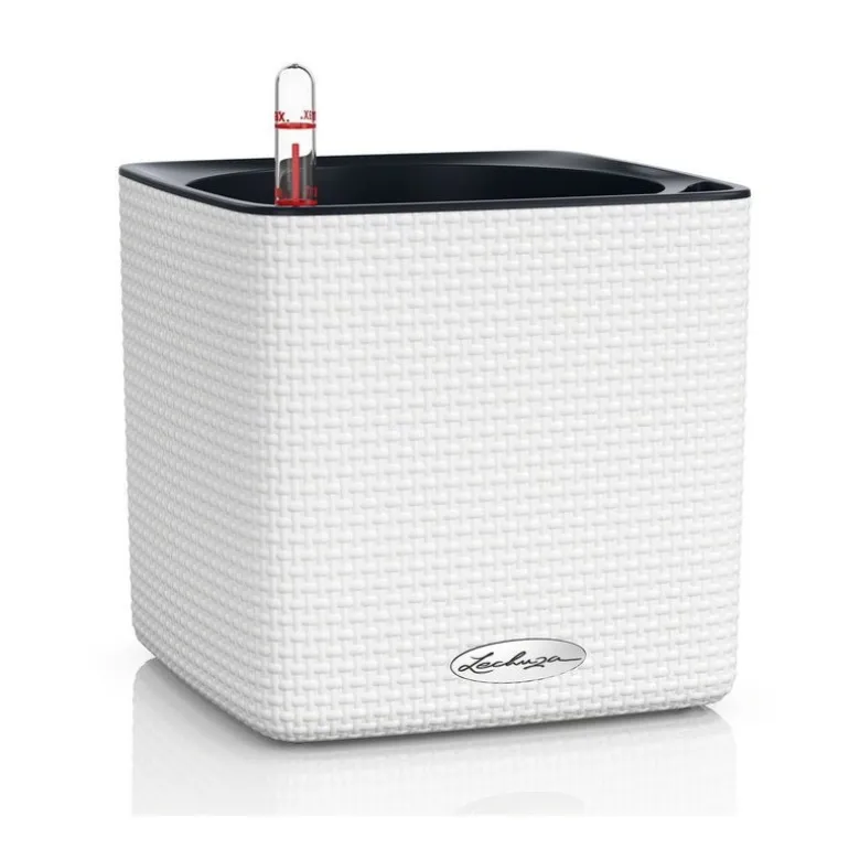 Vaso Cube Color 16 Lechuza Set Completo