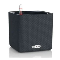 Vaso Cube Color 16 Lechuza Set Completo