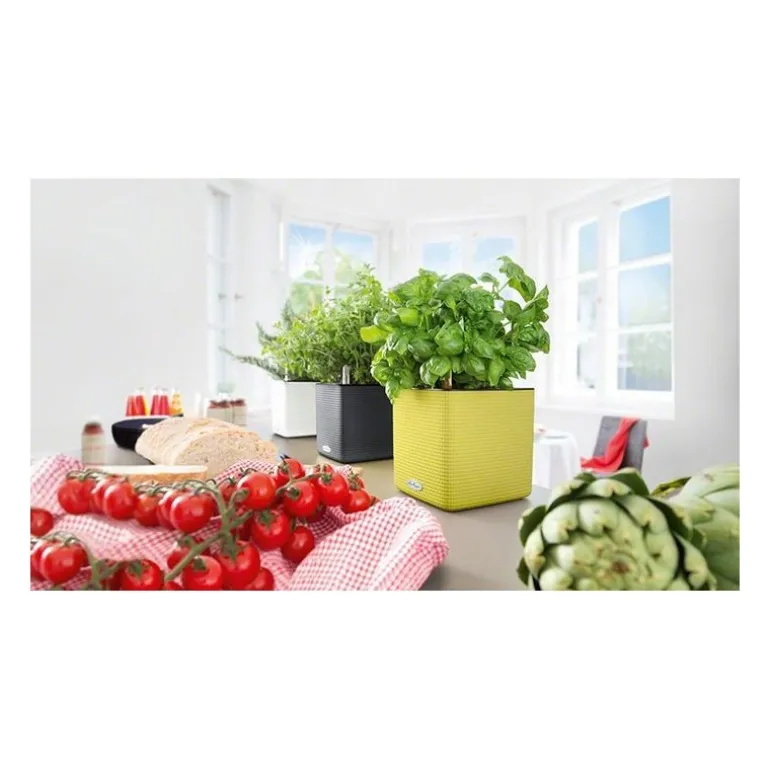 Vaso Cube Color 16 Lechuza Set Completo