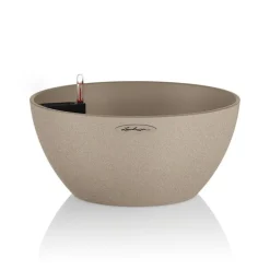 Vaso Cubeto 40 Lechuza Set Completo