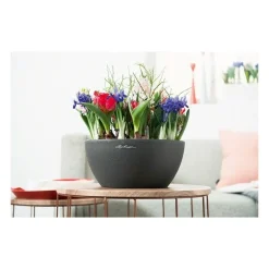 Vaso Cubeto 40 Lechuza Set Completo