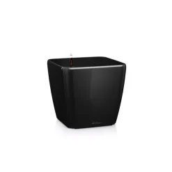 Vaso Quadro Premium 28 Lechuza Set Completo