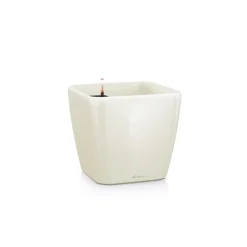 Vaso Quadro Premium 35 Lechuza Set Completo