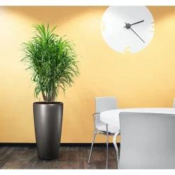 Vaso Rondo Premium 32 Lechuza Set Completo